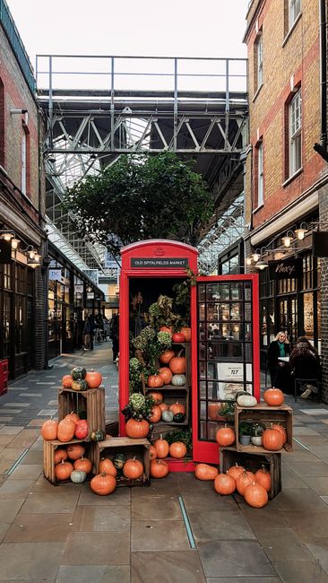 Centered in an indoor market setting, a promotional display features a vintage red telephone booth repurposed as a decorative stand for pumpkins and potted plants. The pumpkins, varying in size and sh